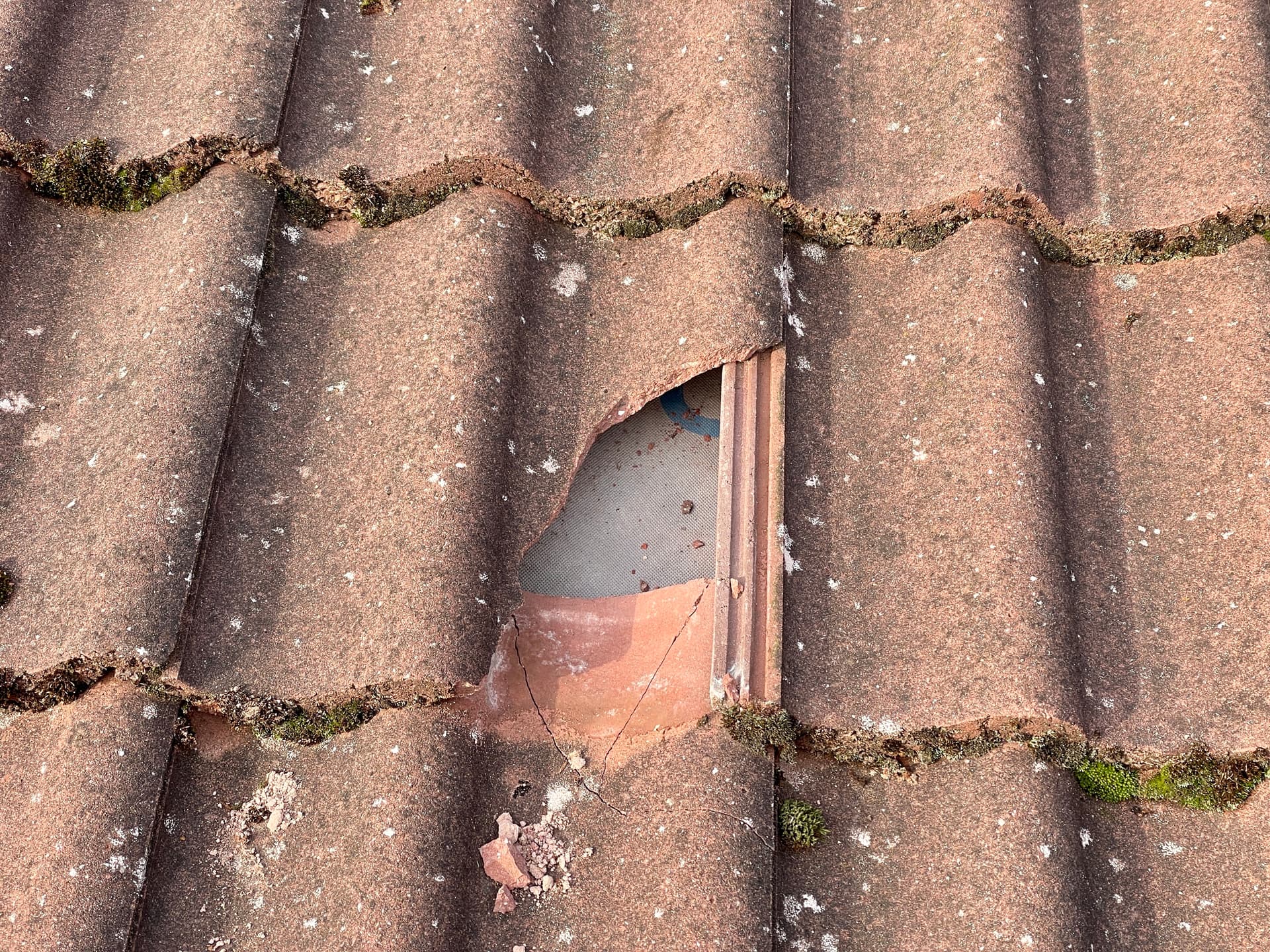 How to Check Scratches and Damage on Luxury Vinyl Tile